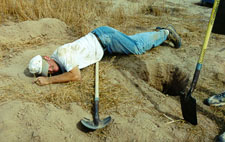 Checking a burrow for side tunnels