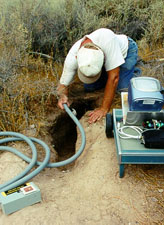 Checking burrow with video camera